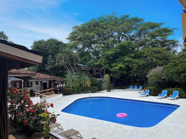 A swimming pool with blue water, surrounded by lounge chairs and a garden with various plants.