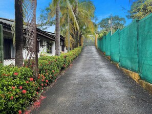 A paved pathway flanked by lush greenery and a green fence, leading to a gated entrance.