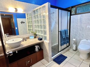 Shower, hair dryer, towels