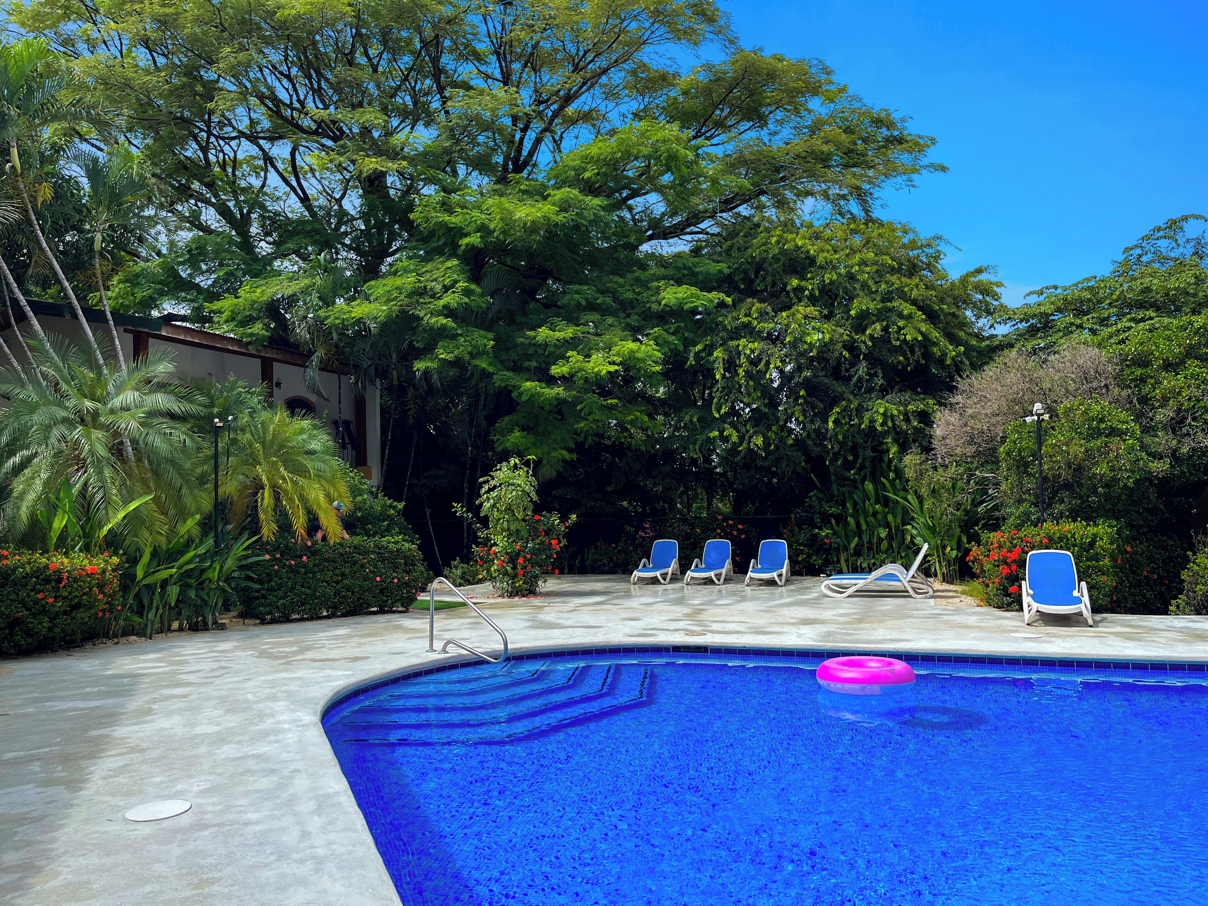 Large shared pool and lots of lounge chairs