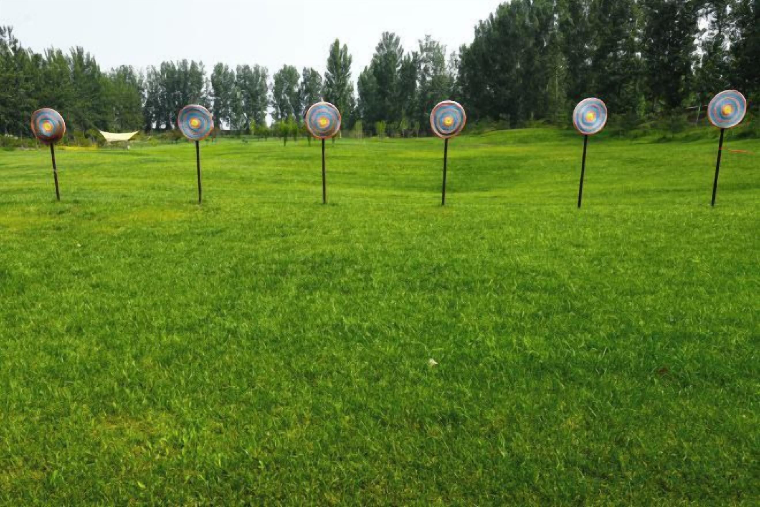 Un campo cubierto de césped con cinco blancos circulares.
