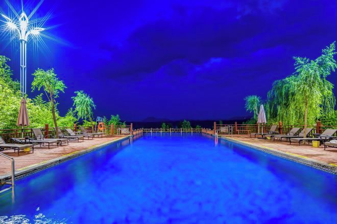 A swimming pool with lounge chairs and umbrellas, surrounded by palm trees.
