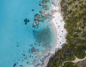 Sun-loungers, beach towels