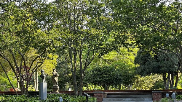 Ein friedlicher Garten mit einem rechteckigen Teich, Steinstufen, die zu einer Ziegelmauer führen, und üppigem Grün.