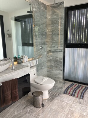 Shower, hair dryer, towels, soap