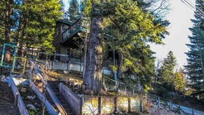 A staircase leading to a wooden cabin surrounded by trees. - Relax with spectacular views @ Bear Dance Cabin (Running Springs)