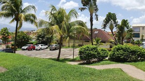 A parking lot with several cars, surrounded by lush greenery and palm trees.