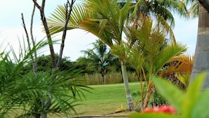A tropical garden with palm trees and a grassy area. - Suite San Juan 125 Gran Pacifica Resort (Villa El Carmen)
