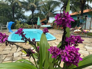 A swimming pool surrounded by tropical plants and palm trees. - Recanto das Orquídeas III (Quatis)