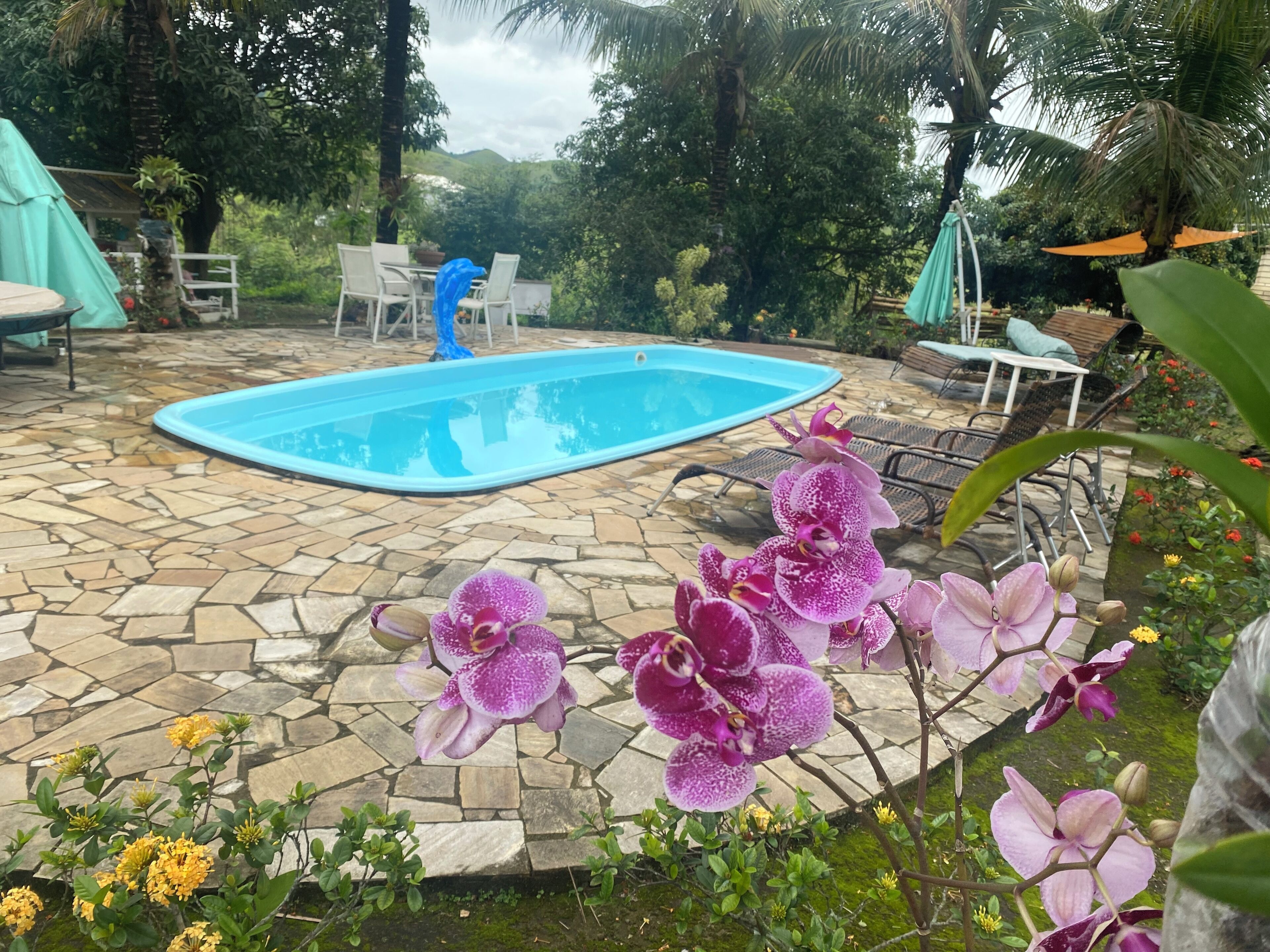 A swimming pool with stone tiles, surrounded by outdoor furniture and tropical plants.