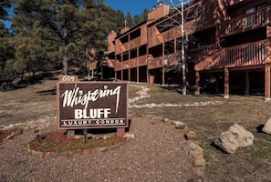 Exterior - Buena Vista! 2 bed/2.5 bath. View of Sierra Blanca (Ruidoso)