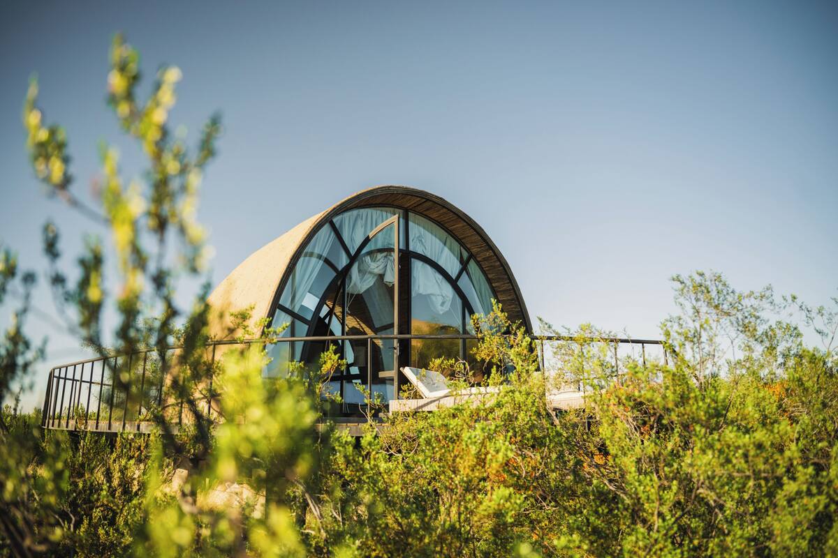 A dome-shaped building with large windows, surrounded by greenery.