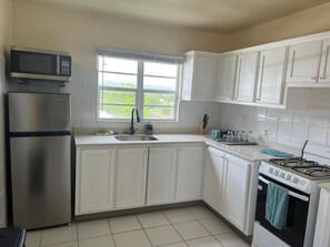 Suite | Private kitchen | Fridge, microwave, oven, stovetop