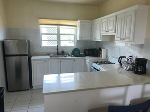 Studio Suite | Private kitchen | Fridge, microwave, oven, stovetop