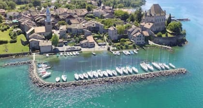 5★ Villa for 15 People - Pool, Sauna, Petanque - 20 min from Geneva