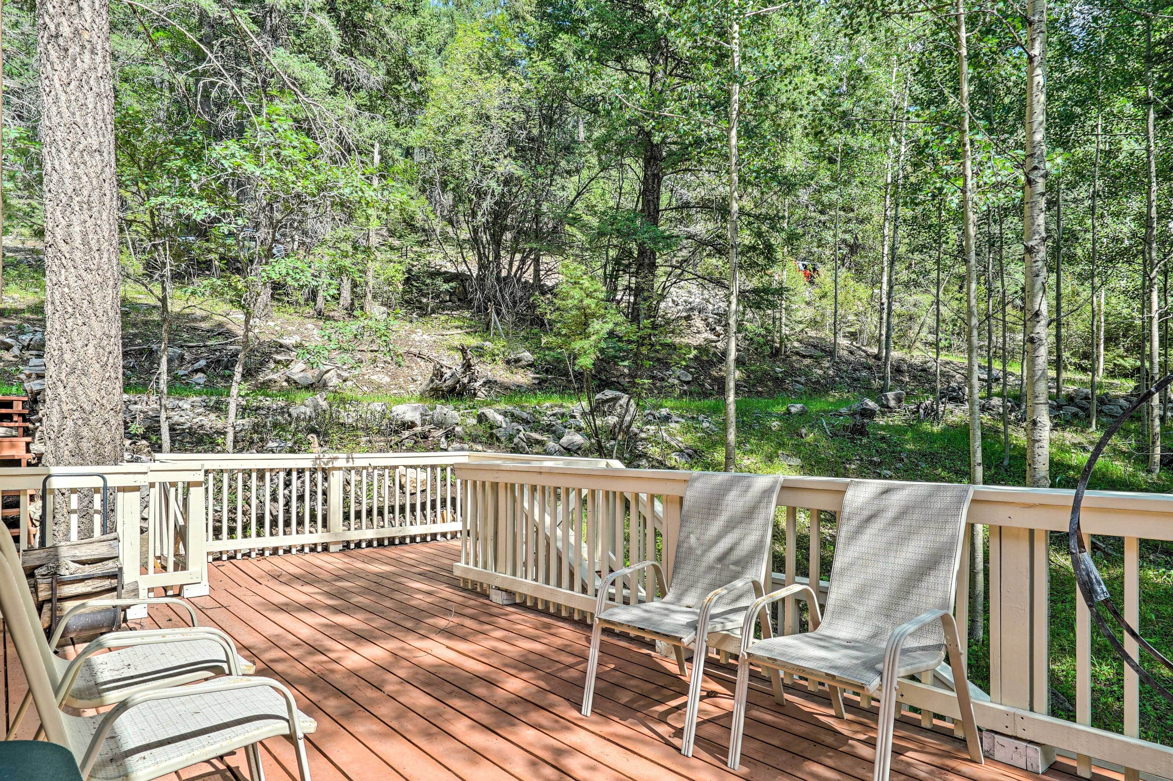 11 Best PetFriendly Cabins In Cloudcroft, New Mexico Updated 2024