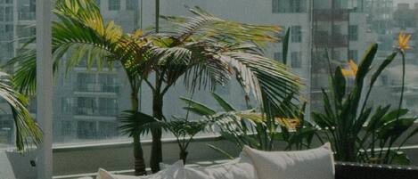 Overnatningsstedets område