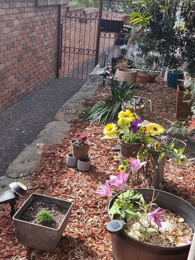 Pet Friendly
Large 3 Bedroom House
2 Living Areas
Ensuite & Outdoor Areas