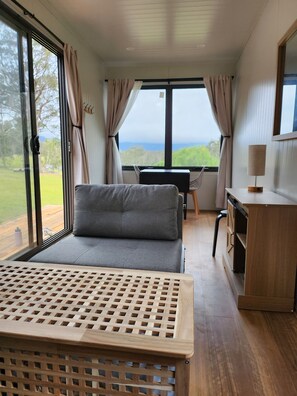 TV connectée, cheminée, livres, écrans d'ordinateur