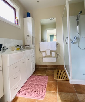 Shower, hair dryer, towels, soap