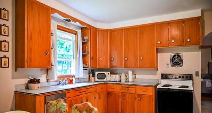 Dog-friendly urban oasis with large yard & porch.