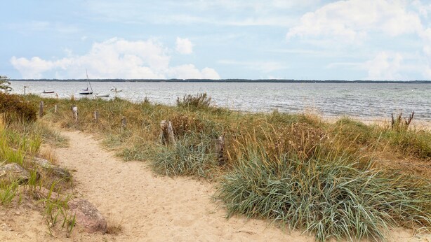 Un sentier de sable qui longe la plage et mène à l’eau, avec des bateaux visibles au loin.