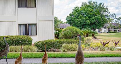 Scenic Water View Condo in Golf Resort | Cozy Ground Floor 1BR | Ideal for Work/Relaxation