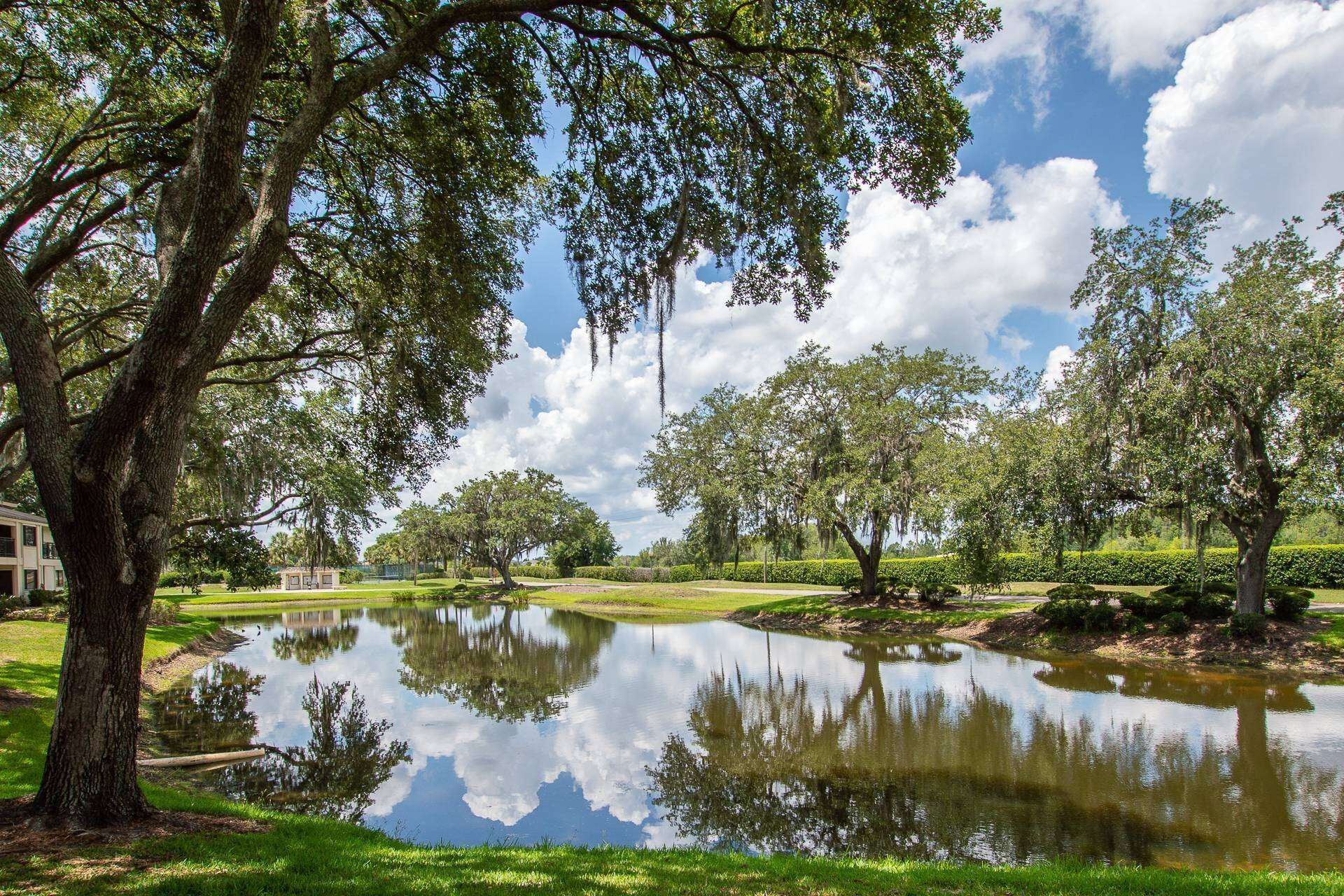 Your view from the patio; Mill Pond is quiet but full of life with ducks and local species of cranes!