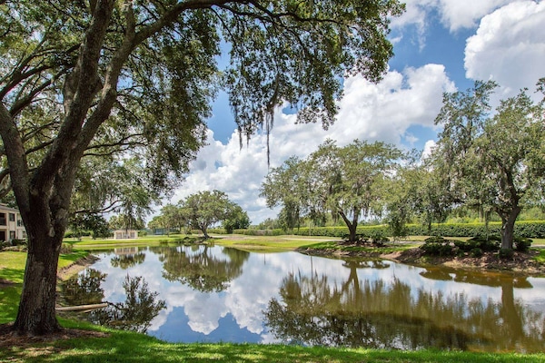 Your view from the patio; Mill Pond is quiet but full of life with ducks and local species of cranes!
