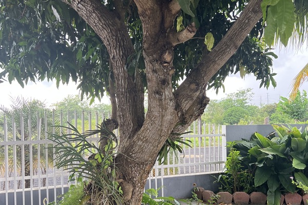 Parco della struttura