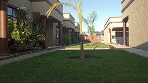 Ein Innenhof mit einer zentralen Palme, umgeben von Gebäuden mit beige gefärbten Wänden und braunen Verzierungen.
