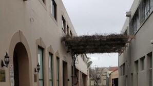 Eine Straße, gesäumt von Gebäuden mit Rundbögen und Fenstern.