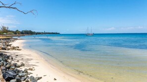 Beach nearby - Pet Friendly Cottage with Waterviews (BONGAREE)