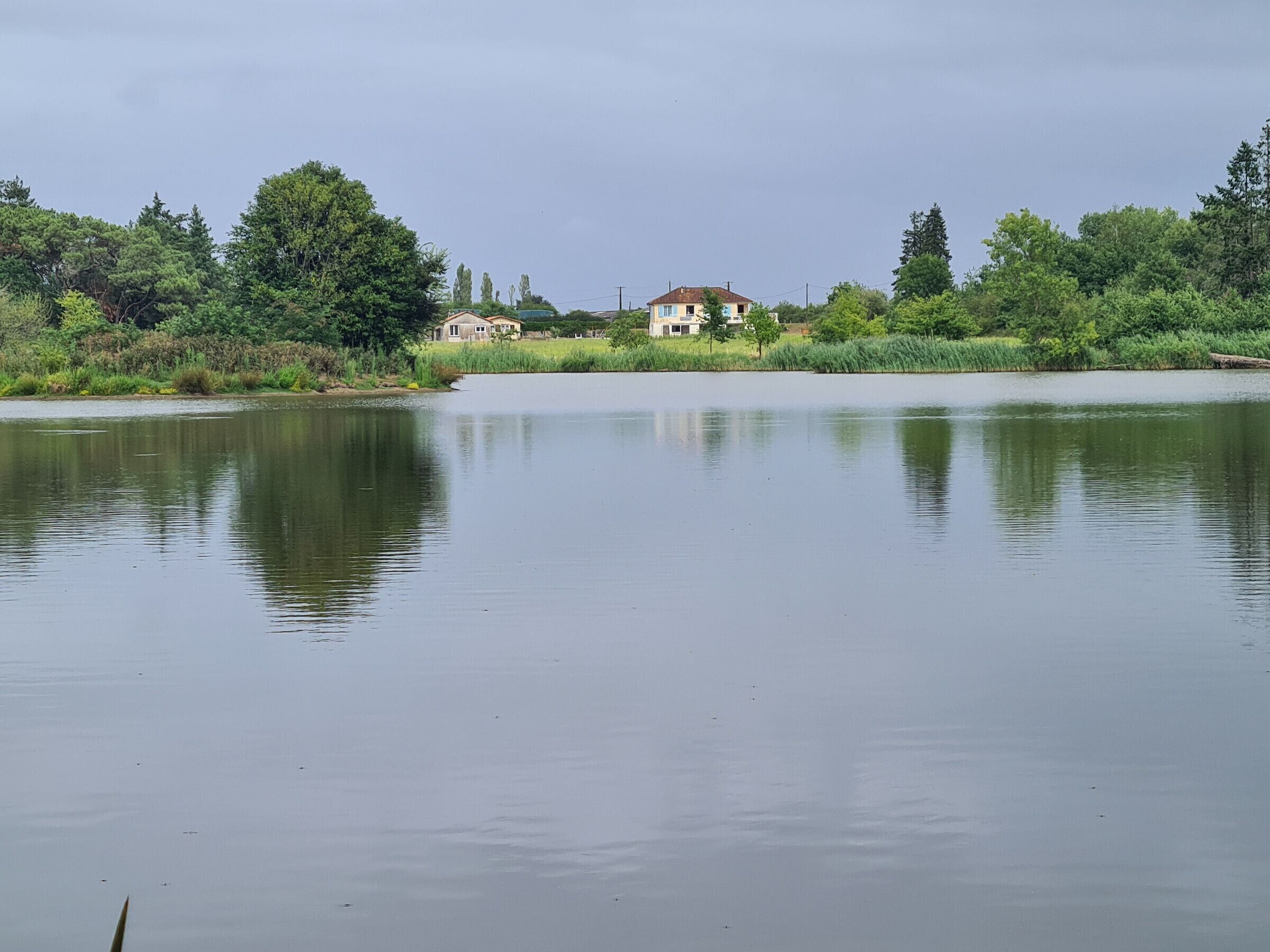 Sjö