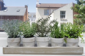 A wooden tray with five potted plants on a windowsill. - Cormorant Place (Portsmouth)