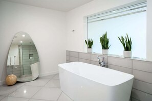 Shower, hair dryer, towels, shampoo