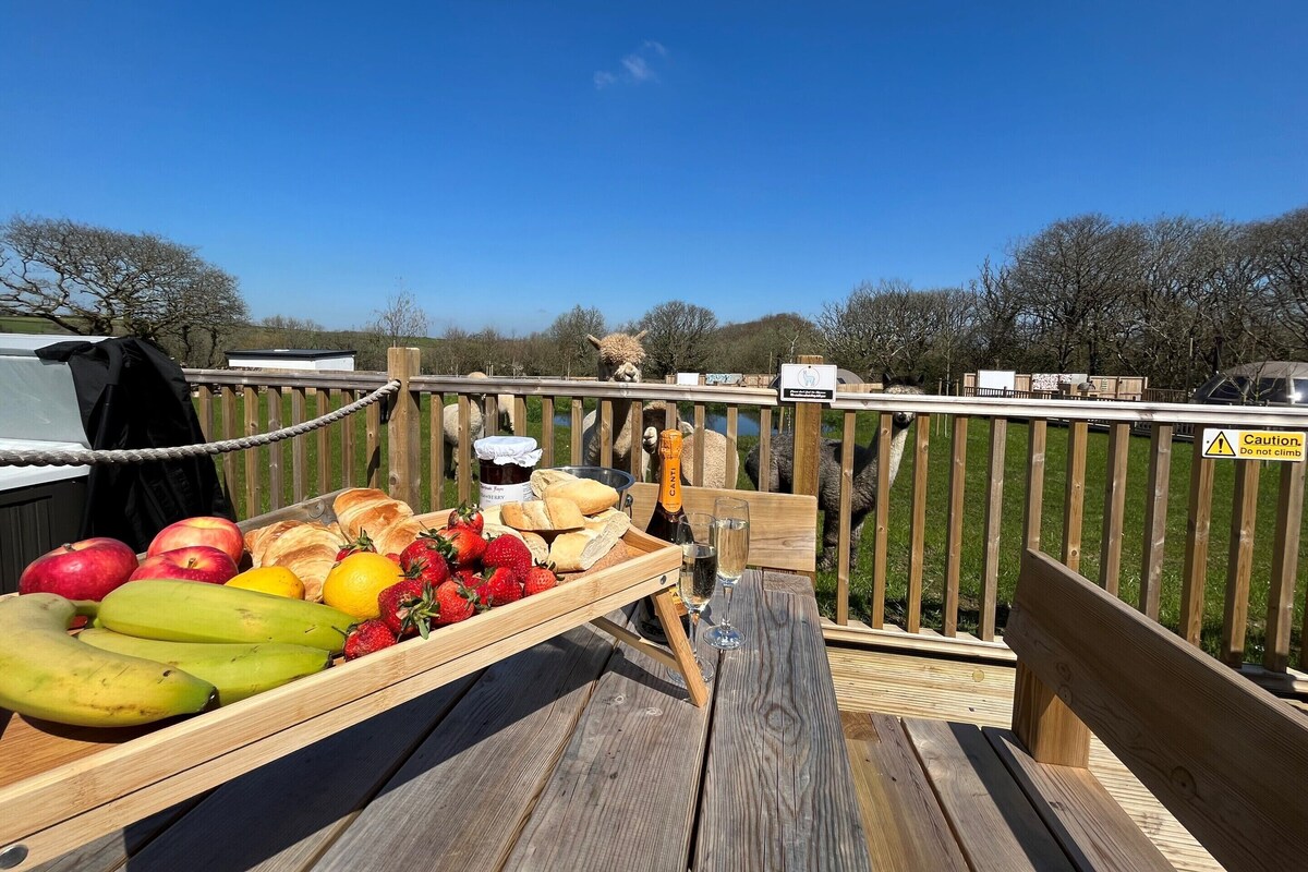 Un coin pique-nique aménagé avec une table en bois, des fruits, du pain et une bouteille de champagne, offrant une vue sur un espace clos où se trouvent des animaux et une étendue d’eau.