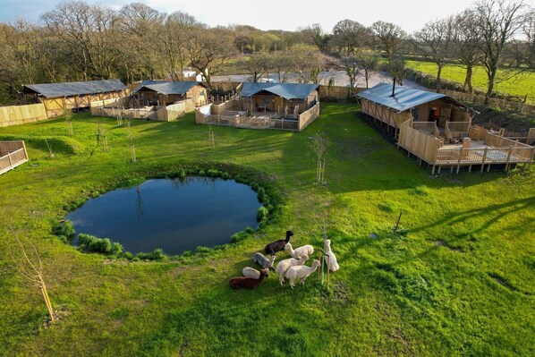 Premium-telt - privat badeværelse - udsigt til have | Udendørsområde