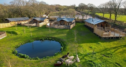 Jungle Book Safari Tent