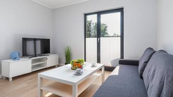 Fernseher, Arbeitsbereiche
