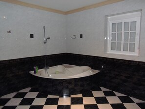 Bathtub, hair dryer, towels