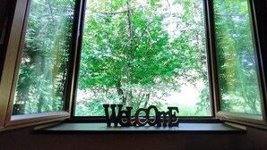 A window with a view of a tree through a window frame.