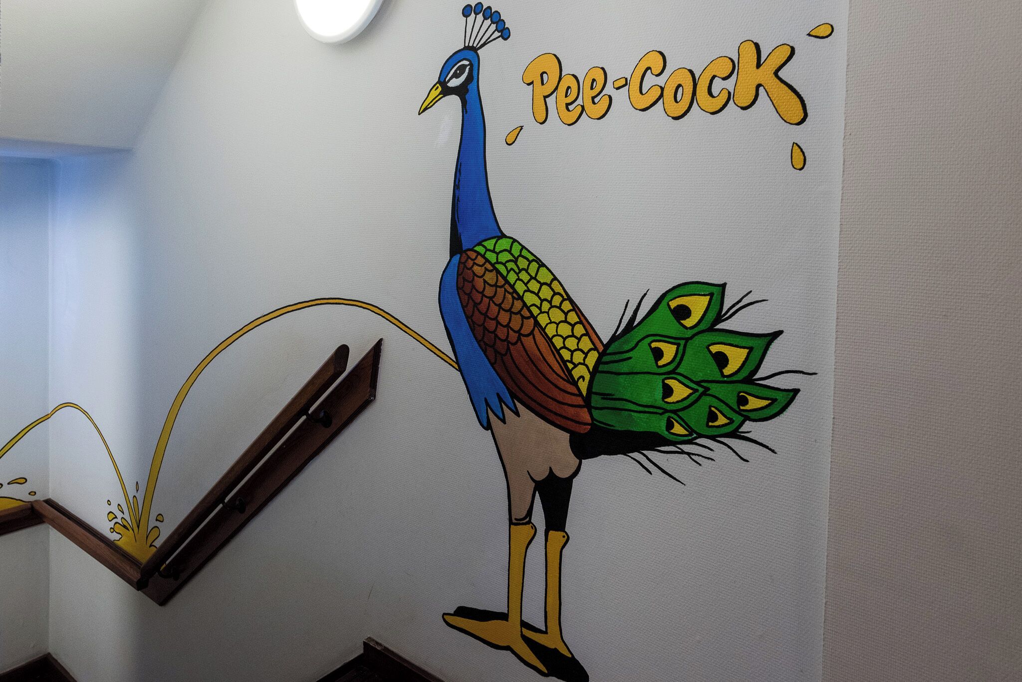 Un muro con un'illustrazione colorata di un pavone e il testo "Pe-Cock".