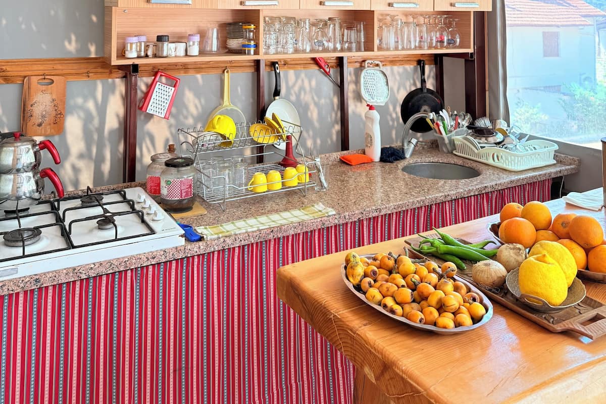 Full-size fridge, oven, stovetop, cookware/dishes/utensils