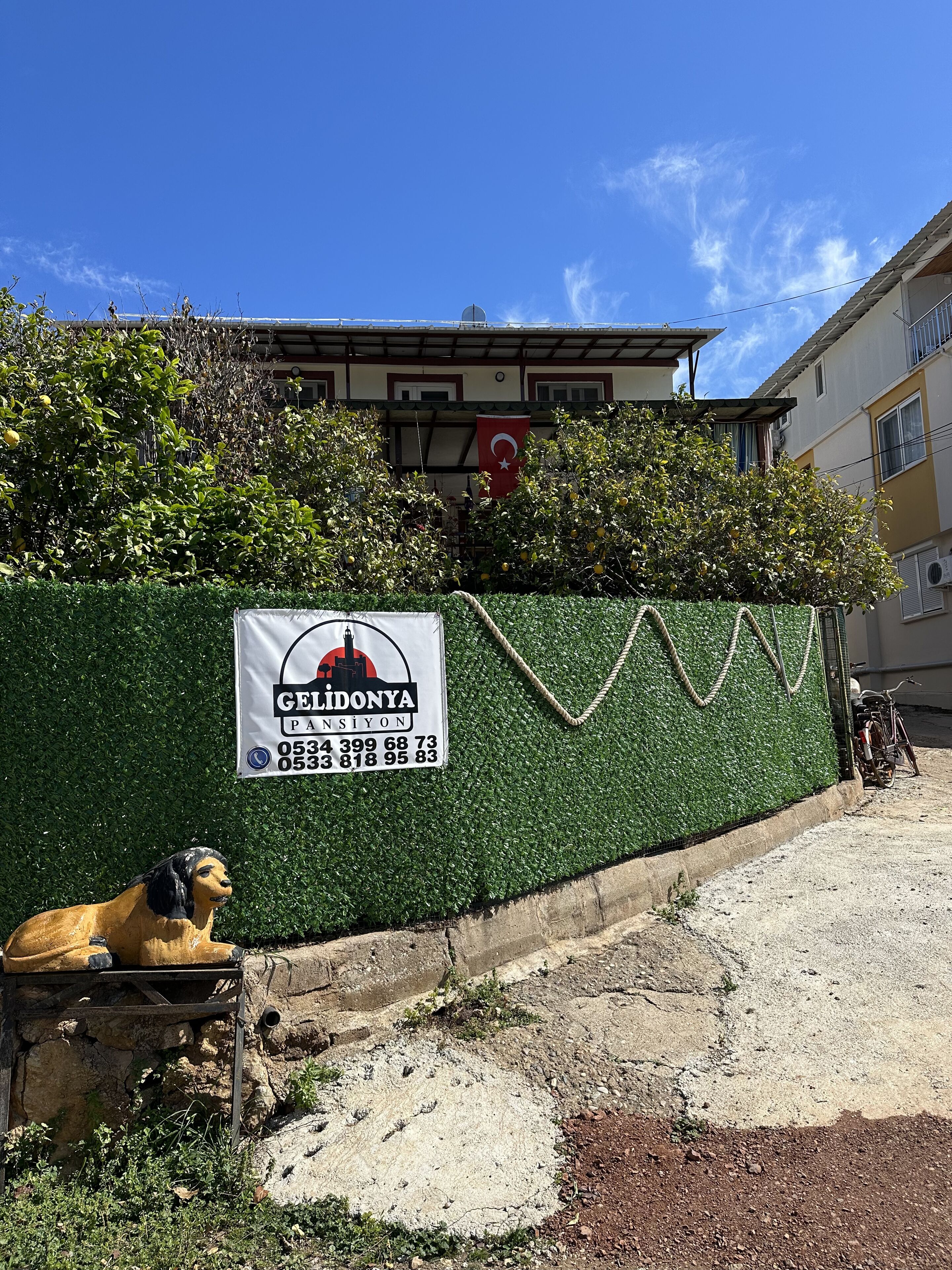A building with a green wall and a sign for 'CELIDONYA PANSIYON' with contact numbers.