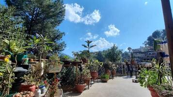 Apartment | Property grounds
