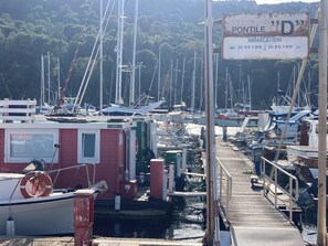 A marina with multiple boats docked, a wooden pier, and a sign indicating boat rental services.