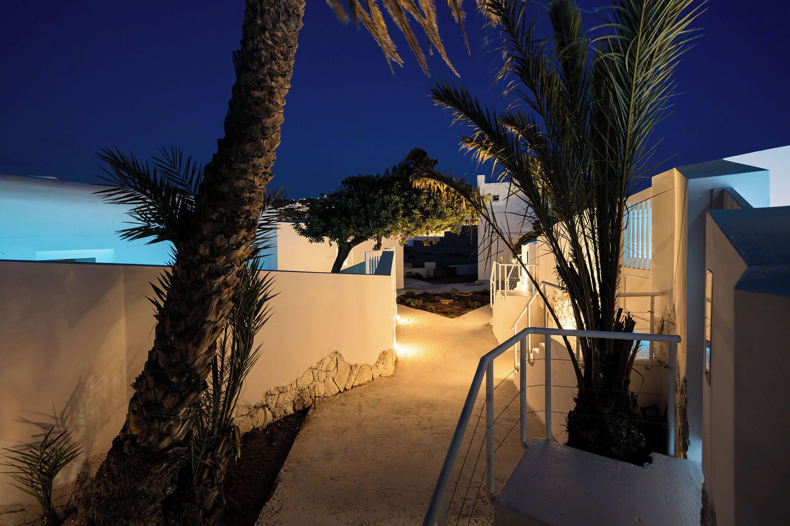 A nighttime view of a coastal property with a paved pathway, palm trees, and a white building with a balcony.