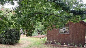 A wooden shed with a window, surrounded by a garden with a lawn and a hedge. - Orchard Cabin Herefordshire Wye Valley (Ross-on-Wye)