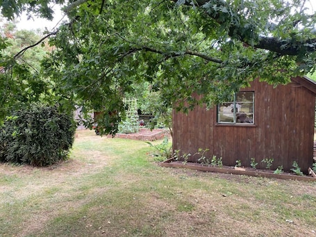 Cabin | Property grounds